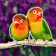 All Birds Wallpaper backgrounds icon