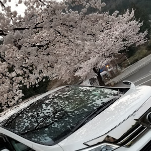 ヴェルファイア AGH30W
