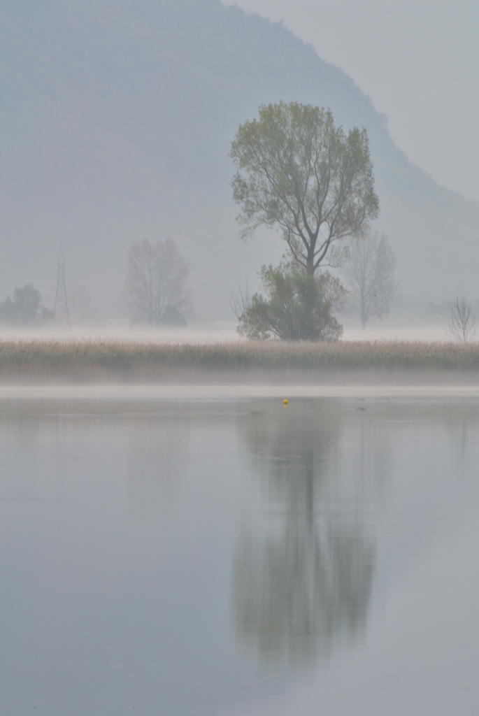 Nebbia mattutina sul Pian di Spagna di minotti