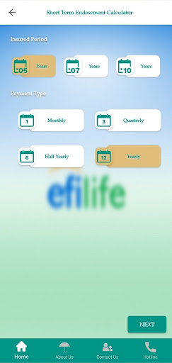 Screenshot EFI Life Insurance