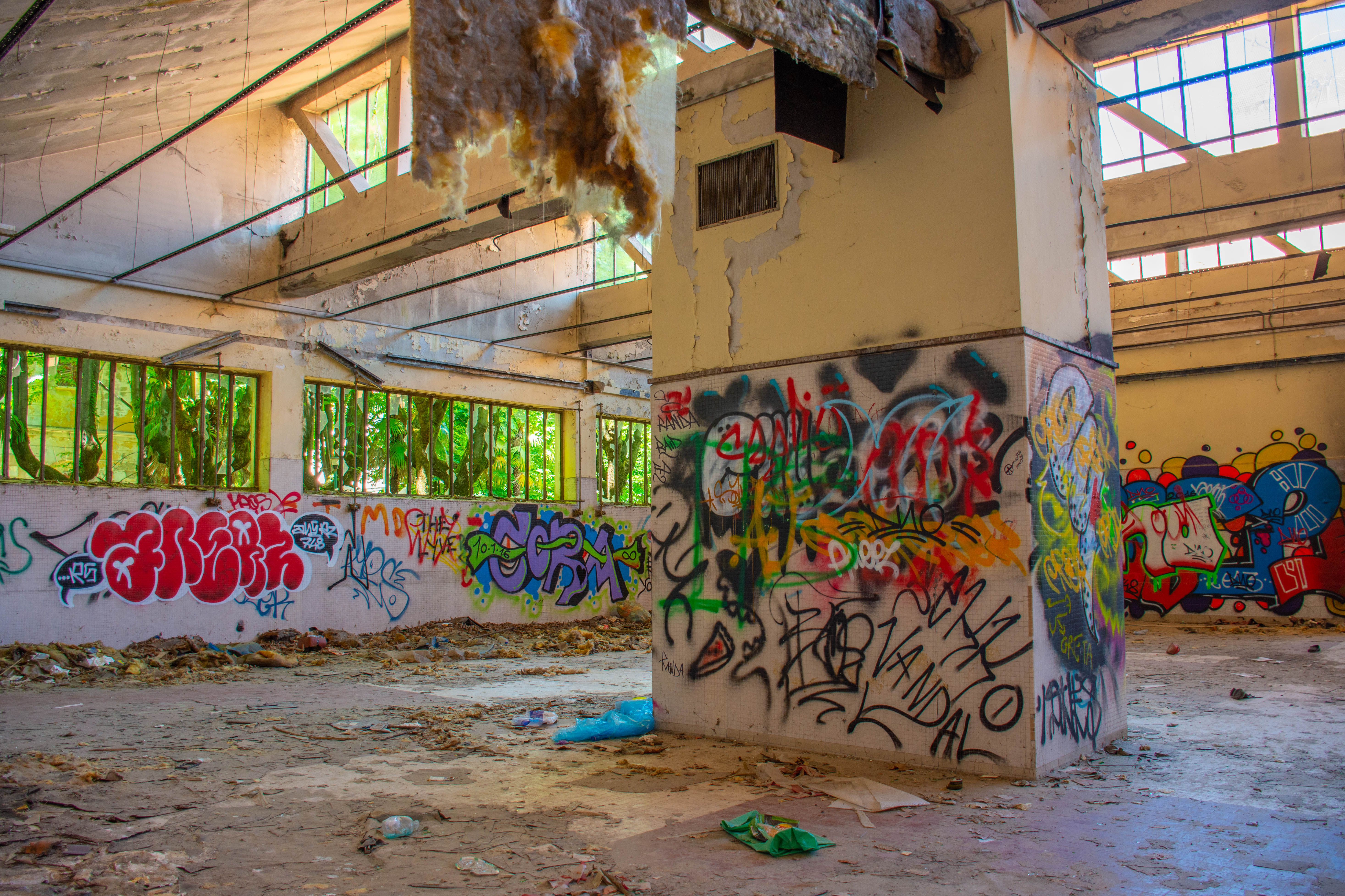 Pazzia, portami via... di claudio_