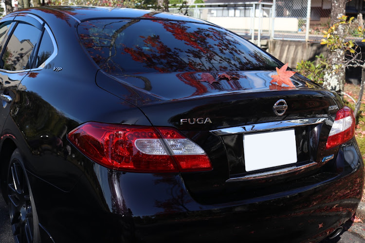 フーガのフーガ・HY51・一眼レフ撮影・紅葉と愛車・紅葉ドライブに関するカスタム事例の投稿画像1枚目