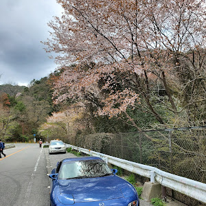 RX-7 FD3S 後期