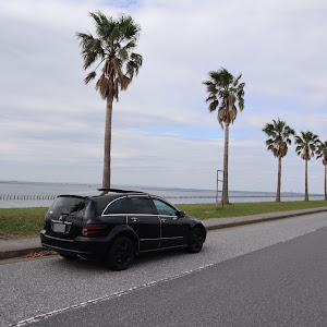 Rクラス W251