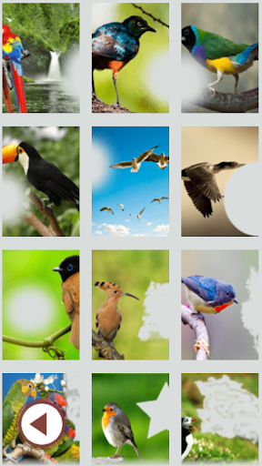 免費下載攝影APP|鸟类摄影工作室 app開箱文|APP開箱王