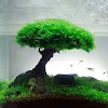 miniatures image - 0