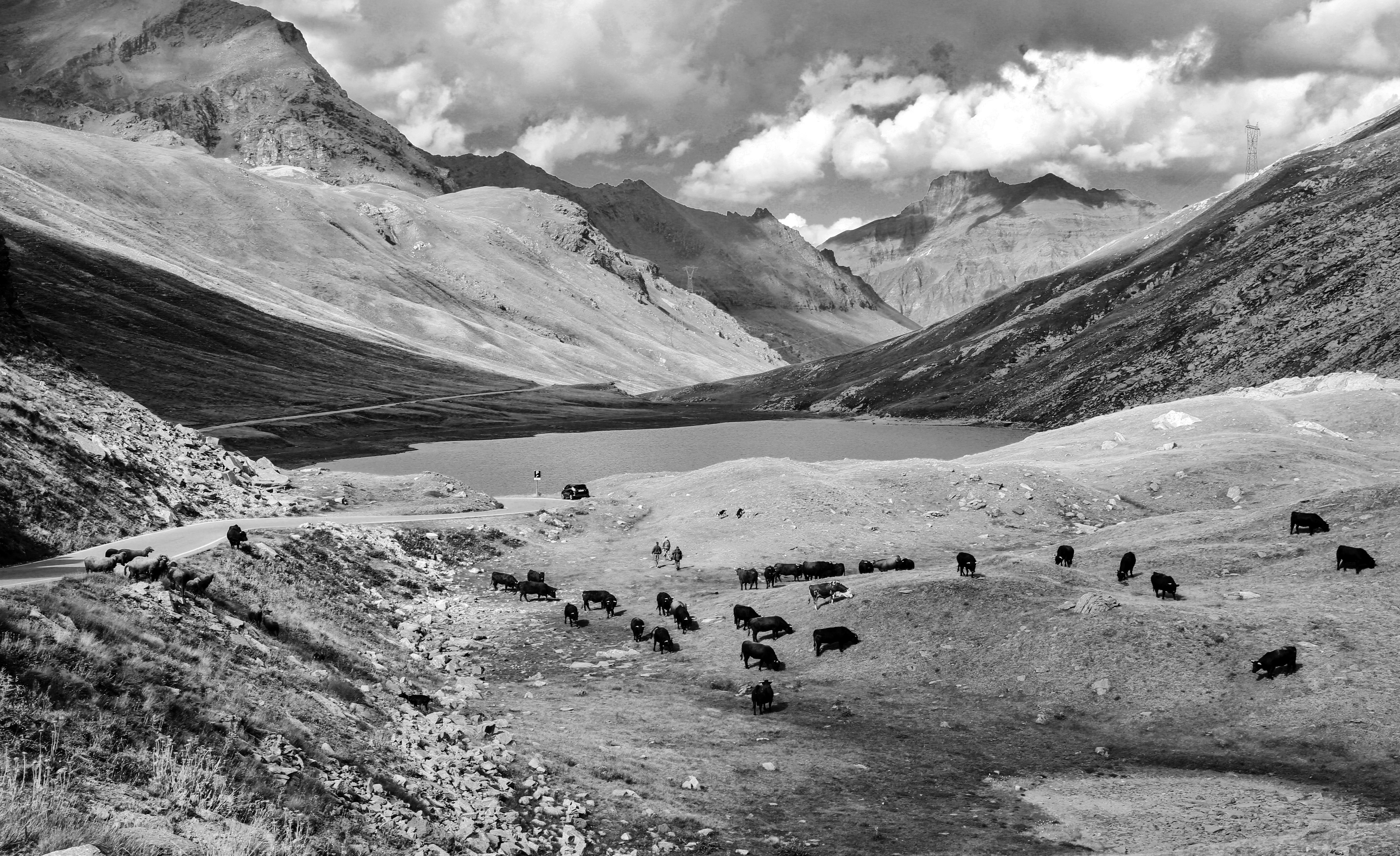 Pascoli di montagna di Rosaria_Scrofani