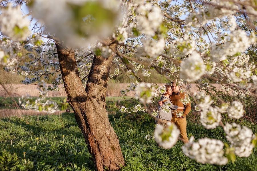 Fotografo di matrimoni Oksana Lebed (oksanalebedz). Foto del 24 marzo 2017