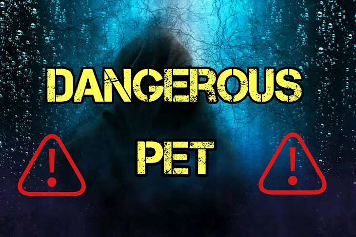 「DANGEROUS PET」のメインビジュアル