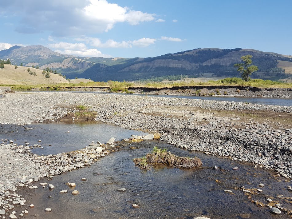 Wildlife refuge in Yellowstone