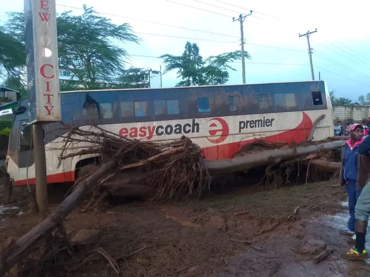 A PSV belonging to Easy Coach transport company locked in fallen trees following landslides at Kamuchiri village in Mai Mahiu, Nakuru County on April 29, 2024.