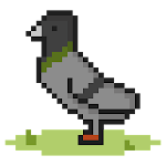 Cover Image of Télécharger L'élevage de pigeons 3.0.12 APK