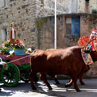 il santo sul carro di buoi di 