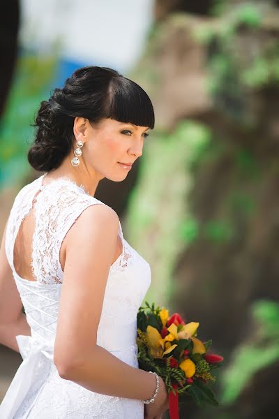 Wedding photographer Viktoriya Falina (vfal). Photo of 12 February 2015