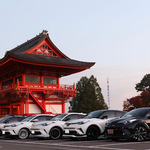 C-HR ZYX10