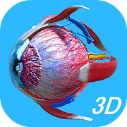 Anatomy Human Eye 1.0 Icon