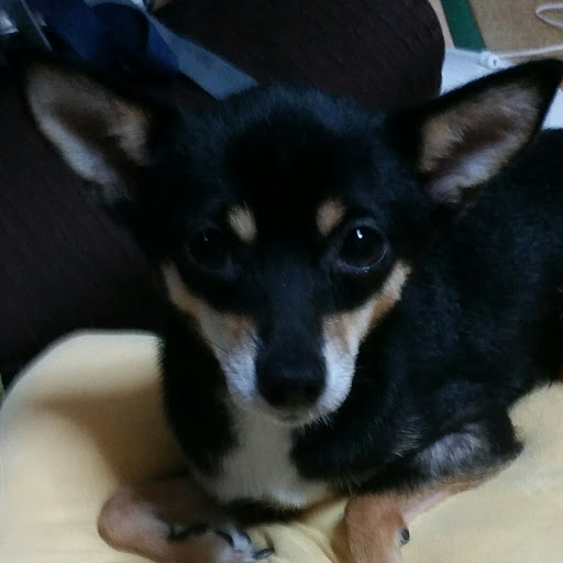 アッキー