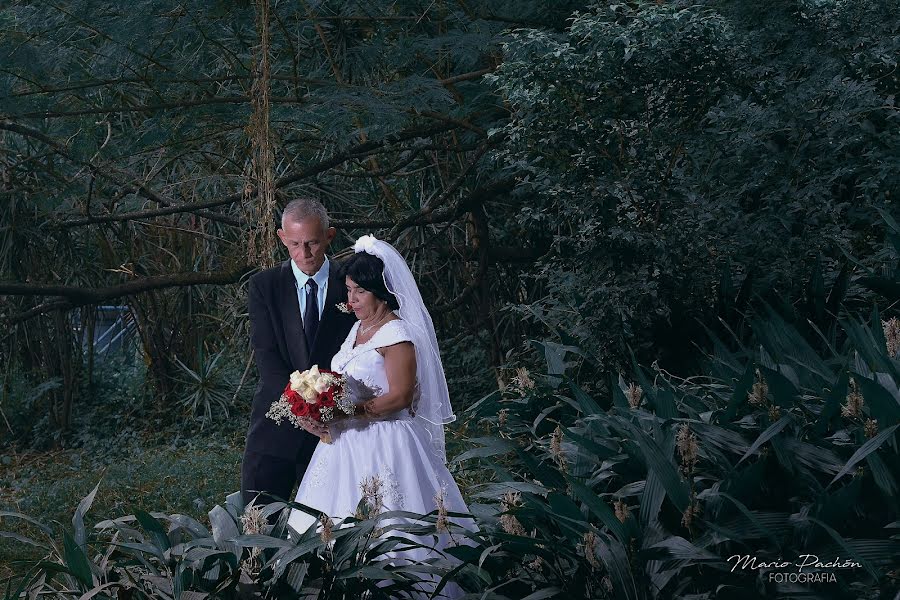 Vestuvių fotografas Mario Pachón (maostudio1975). Nuotrauka 2019 balandžio 24