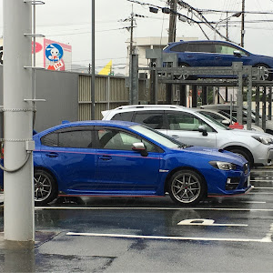 WRX STI