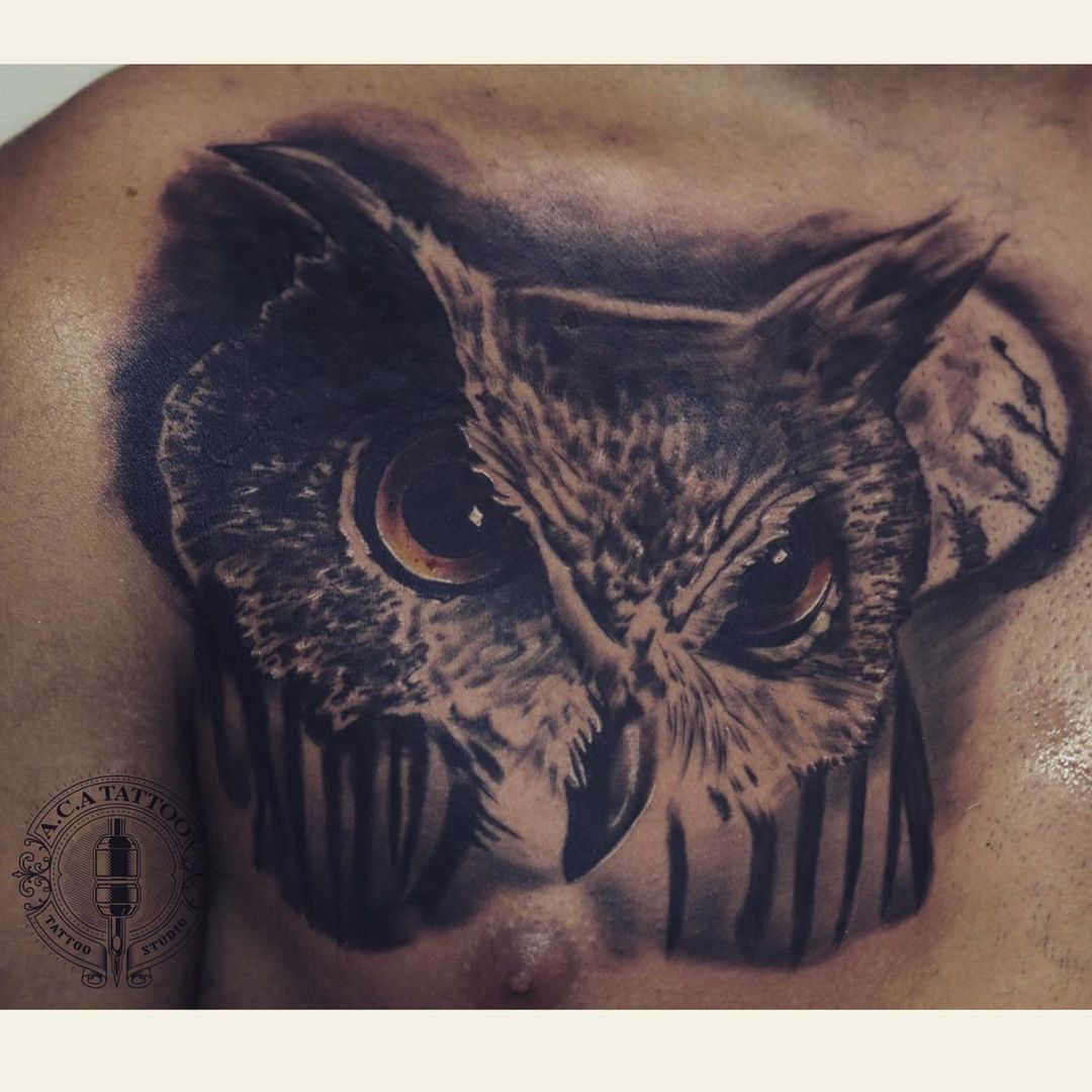 stylish owl tattoos