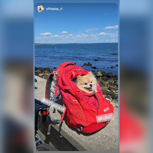 Kurgo Airflow Spacer