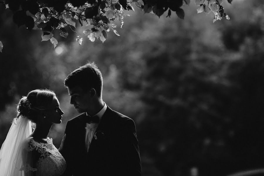 Photographe de mariage Svetlana Grebneva (grebneva). Photo du 24 septembre 2016