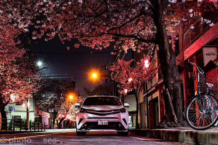 C-HRの🌸さくらを撮る会🌸・闇活に関するカスタム事例の投稿画像2枚目