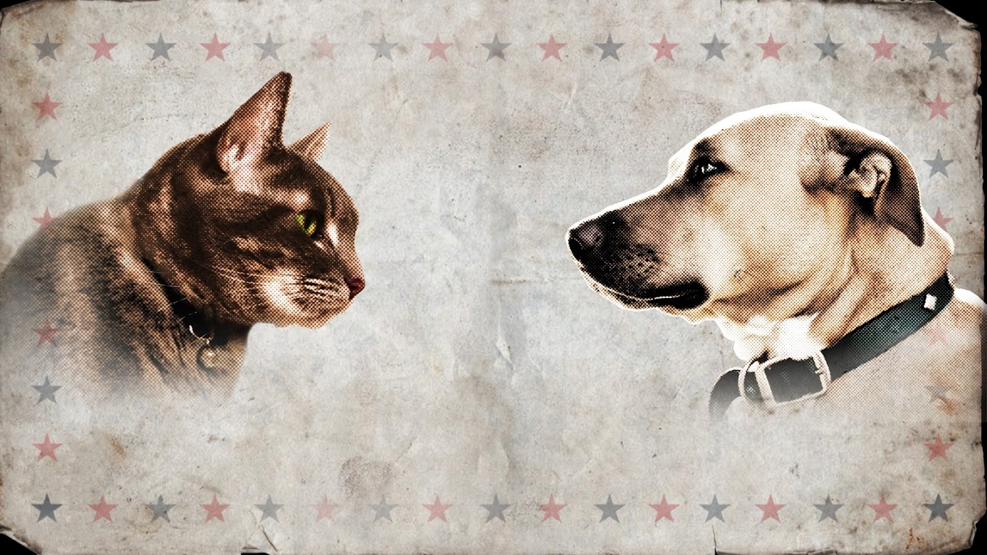 Переведи cat dog. Кошка vs собака. Dog против Cat. Кошки и собаки Противостояние. Кошки против собак картинки.