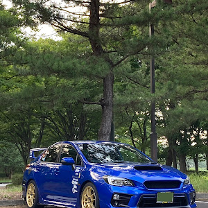 WRX S4 VAG