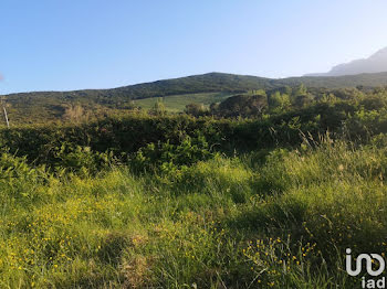 terrain à Luri (2B)