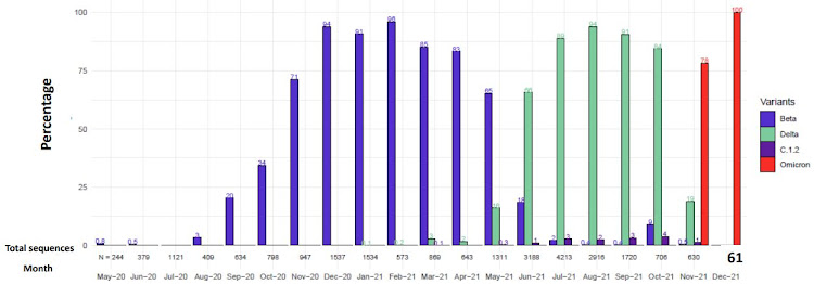 Detection rates of Covid-19 variants by the Network for Genomic Surveillance in SA. So far in December, 61 genomes have been sequenced and all were Omicron.