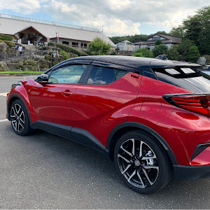 C-HR NGX10