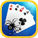 Spider Solitaire icon