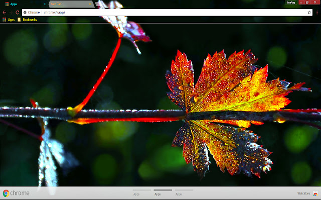 Colorful Fall Green Leaf Nature chrome extension