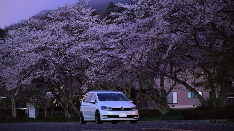 ゴルフトゥーランのサクラと愛車・広島・ingo noak tuning・カメ活・朝活に関するカスタム事例の投稿画像5枚目