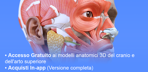 ANATOMIA UMANA