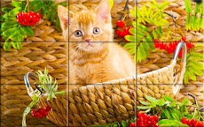 子猫 -  パズルのおすすめ画像1