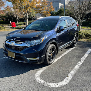 CR-V RT6