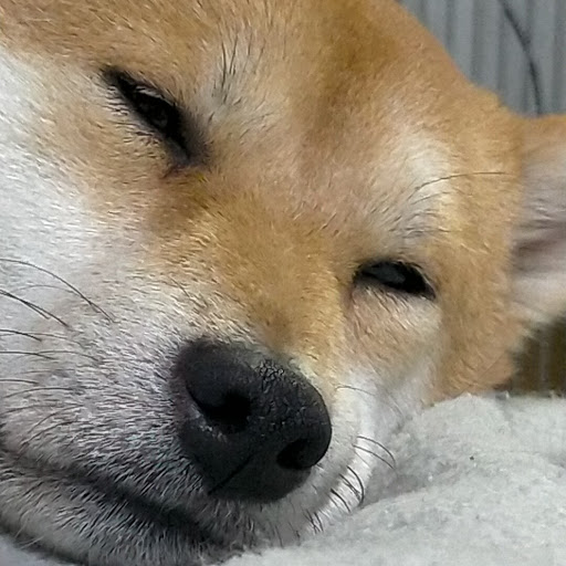 りの