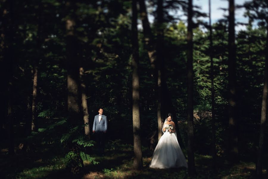 Fotógrafo de casamento Aleksey Kozlov (kozlove). Foto de 11 de março 2016