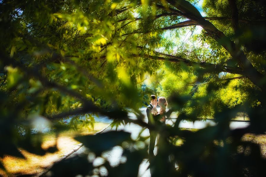 Fotógrafo de casamento Irina Subaeva (subaevafoto). Foto de 11 de outubro 2016