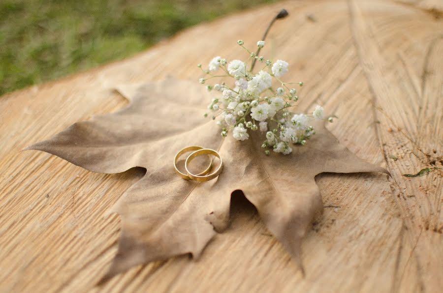 Wedding photographer Beto Corrêa (betocorrea). Photo of 20 November 2017