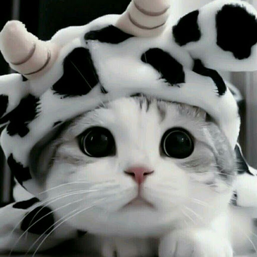 ☁トメィトゥ☁