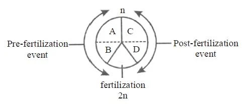 Sexual reproduction