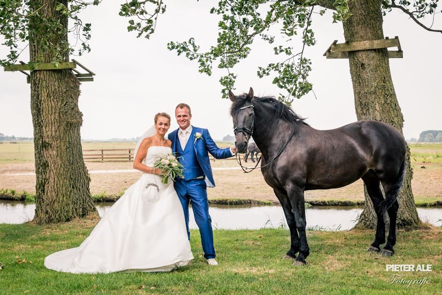 Pulmafotograaf Pieter Ale De Boer (aledeboer). Foto tehtud 7 märts 2019