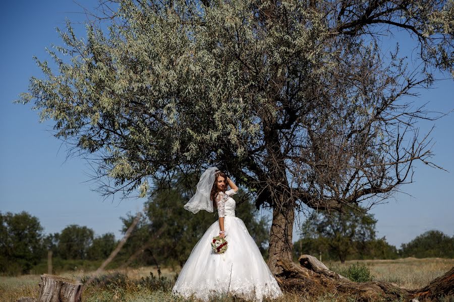 Wedding photographer Stanislav Novikov (stanislav). Photo of 15 August 2018