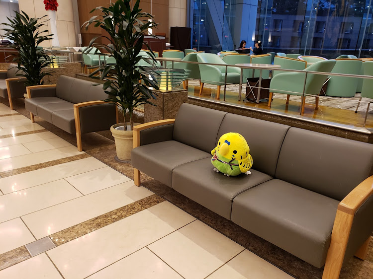 エクストレイルのコロナに関するカスタム事例の投稿画像6枚目