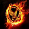 Item logo image for The Hunger Games Characters Fire Theme