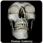 Human Anatomy (Spotting) Apk