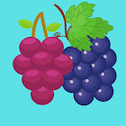Sort the Grapes 1.0.0.3